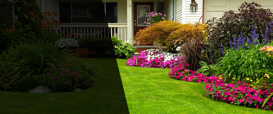 Elsberry Landscapers