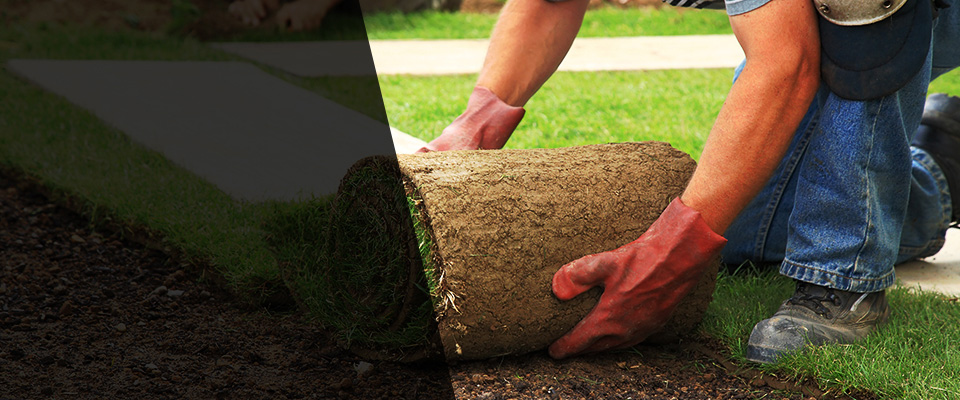 Elsberry Landscapers